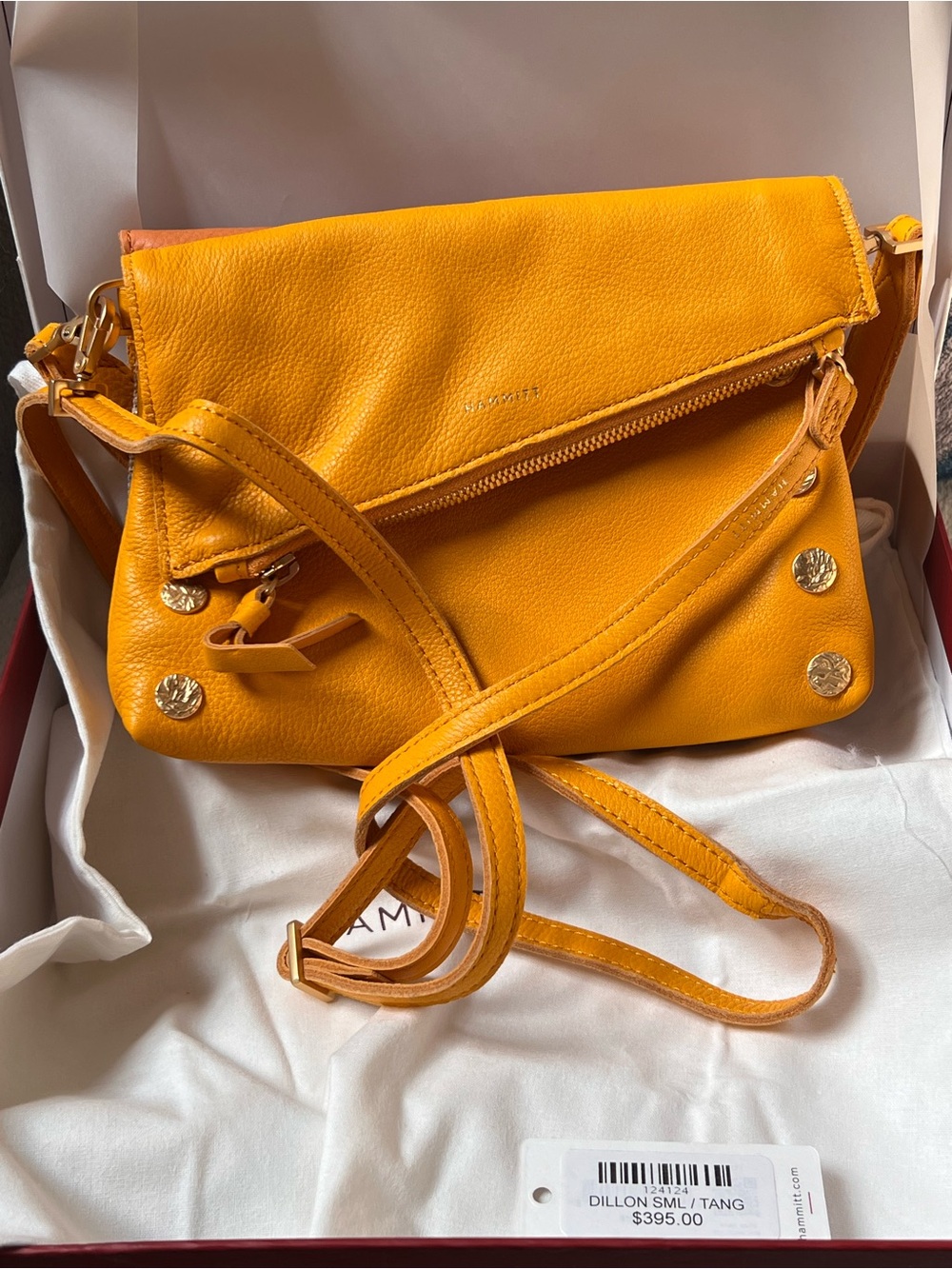 Hammitt Dillon Crossbody Bag in Orange and Multicolor Stripe - Picture 2 of 9